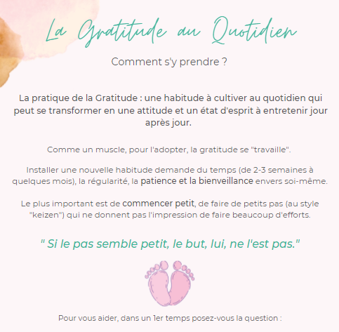 aperçu-ebook-comment-sy-prendre